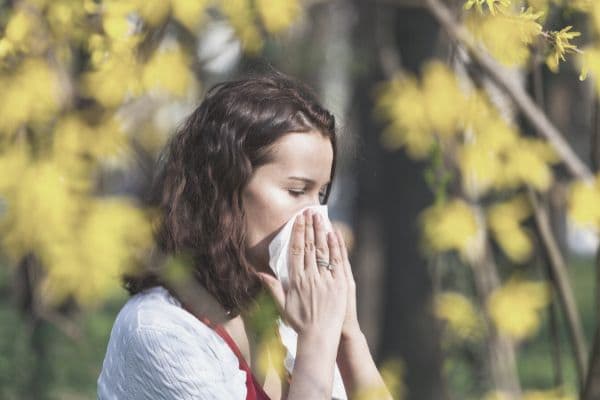 Pollen sind gut für die Natur, Allergiker sparen sie sich zuhause aber lieber 