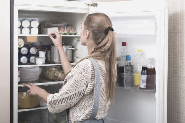 Kühlschrank, immer wieder dieser Kühlschrank: immer schnell Tür zu und regelmäßig abtauen 