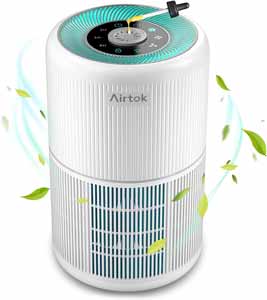 Airtok AP0601 Luftreiniger für Raucher 10 Watt HEPA-Filter Aroma Funktion ohne Ozon